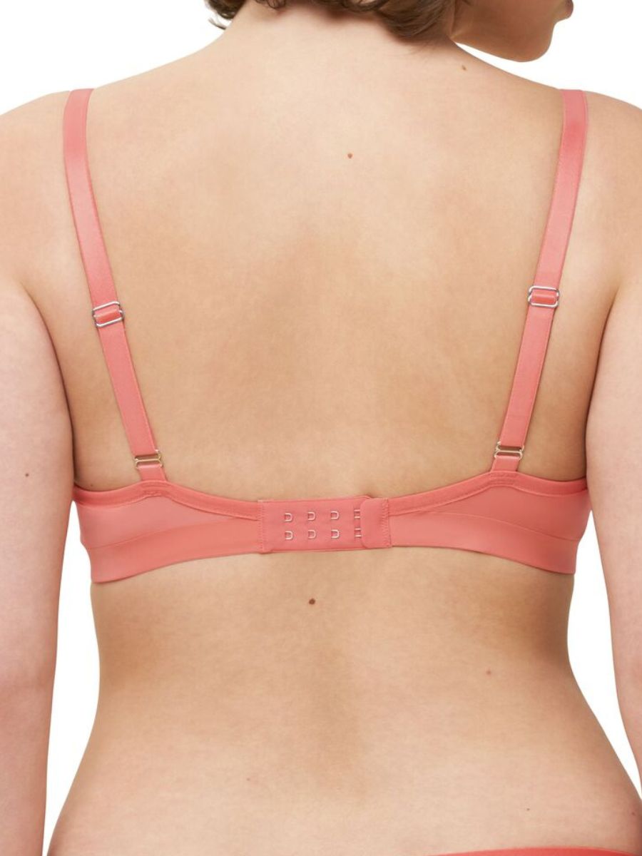 triumph aura spotlight bra
