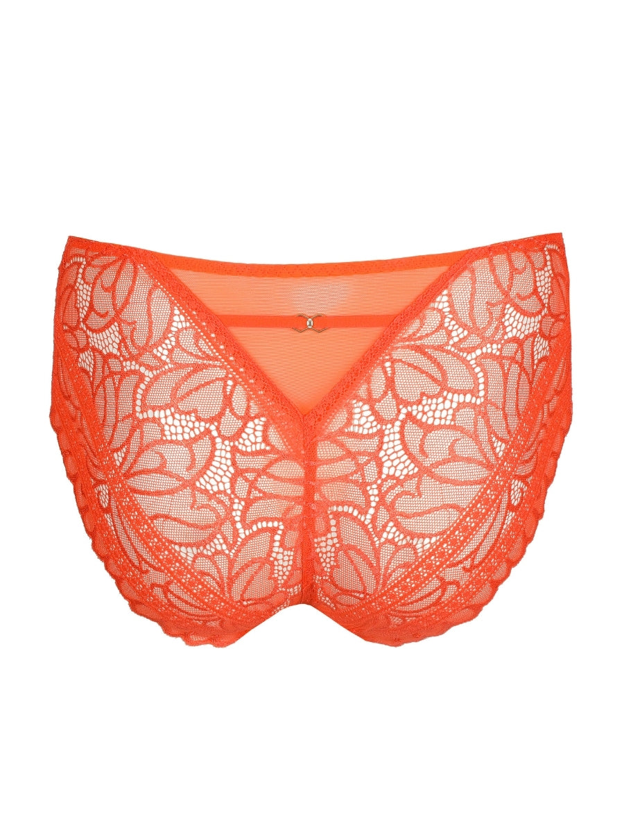 Cerina Full Brief