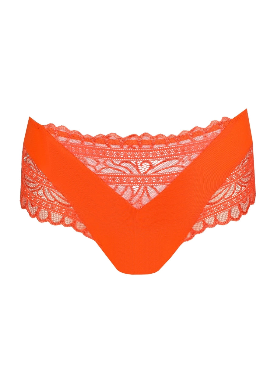 Cerina Full Brief