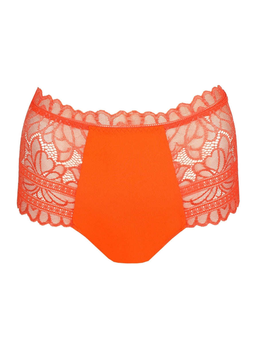 Cerina Special Brief
