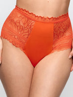 Cerina Special Brief
