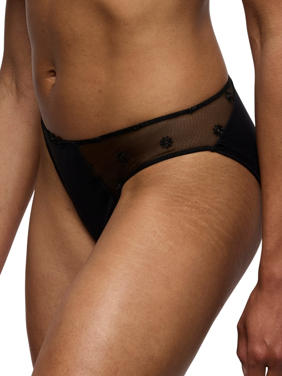Daisy Rio Brief