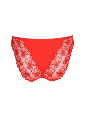 Jane True Red Italian Briefs