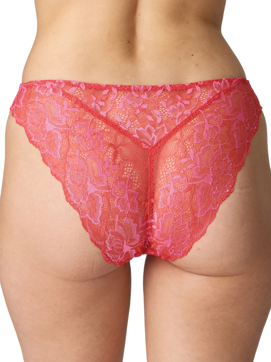 Manyla Rio Brief