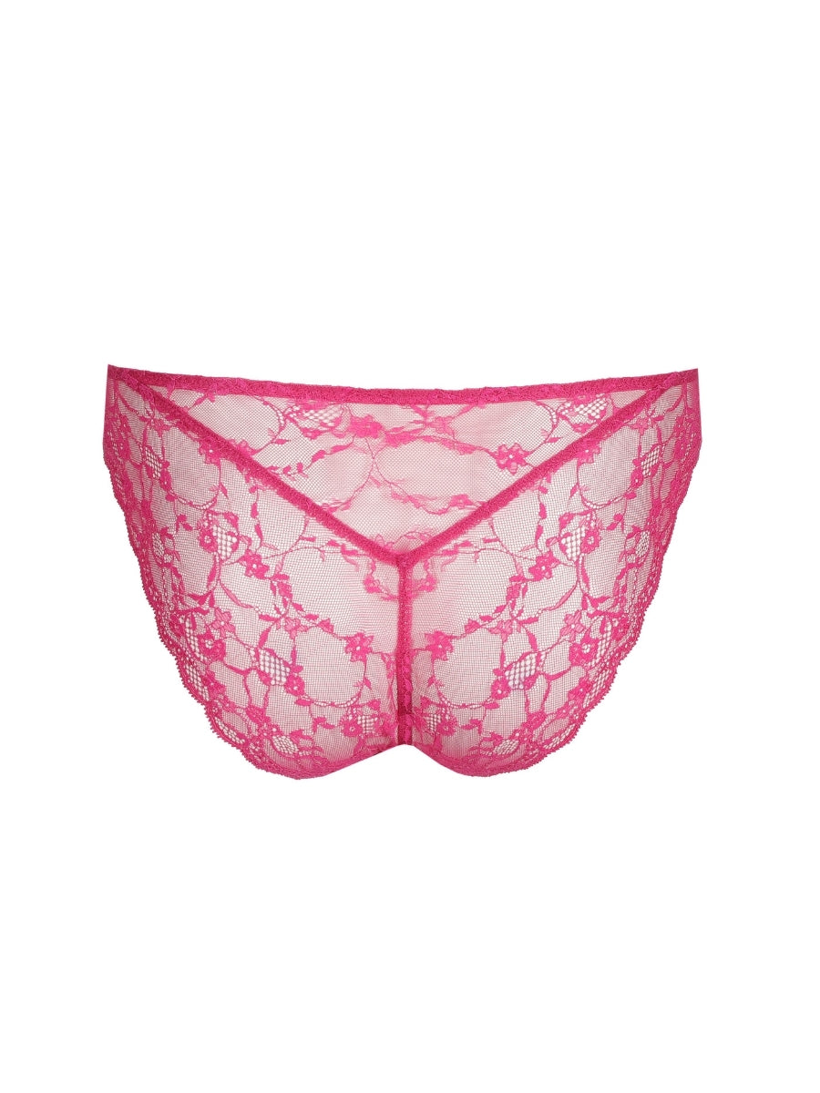 Noemy Rio Brief