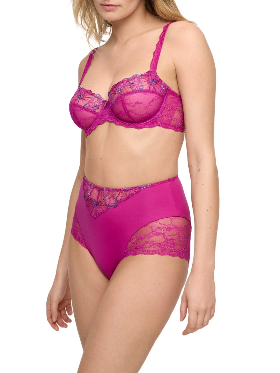 Noemy Full Brief