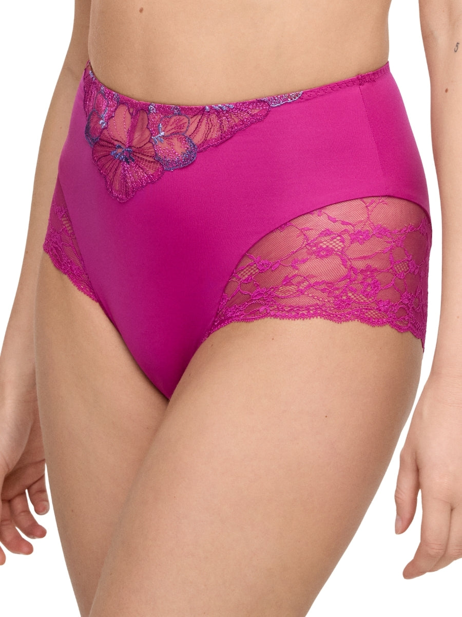 Noemy Full Brief