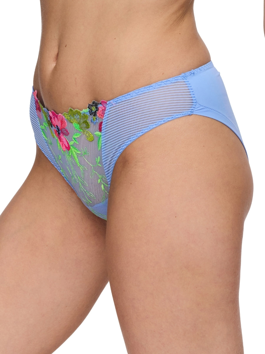 Odilly Rio Brief
