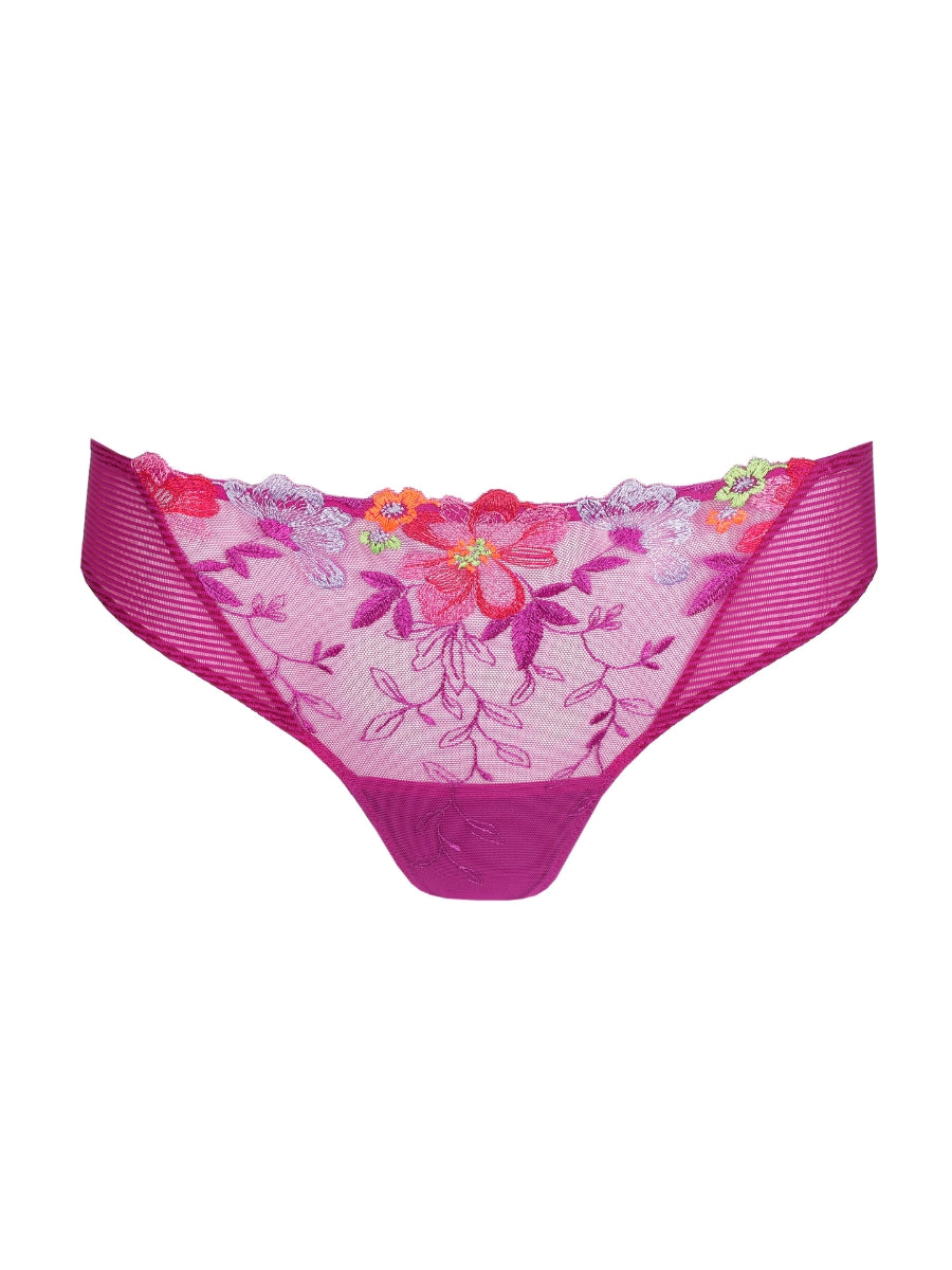 Odilly Rio Brief