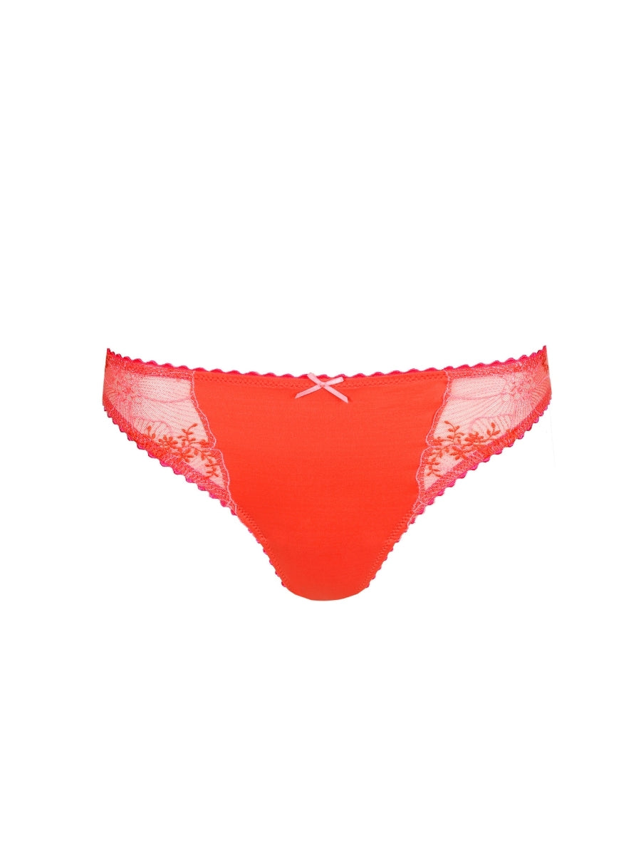 Solene Rio Brief