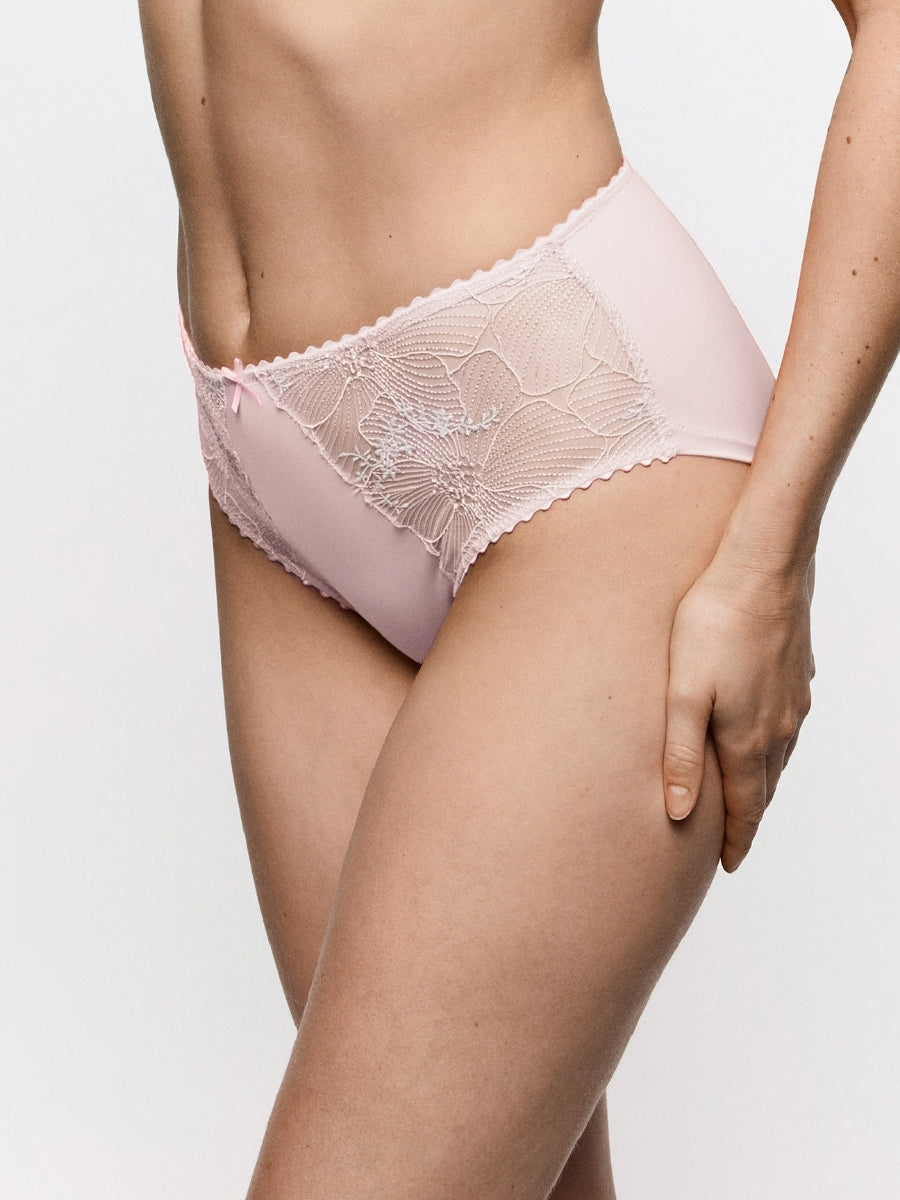 Solene Full Brief