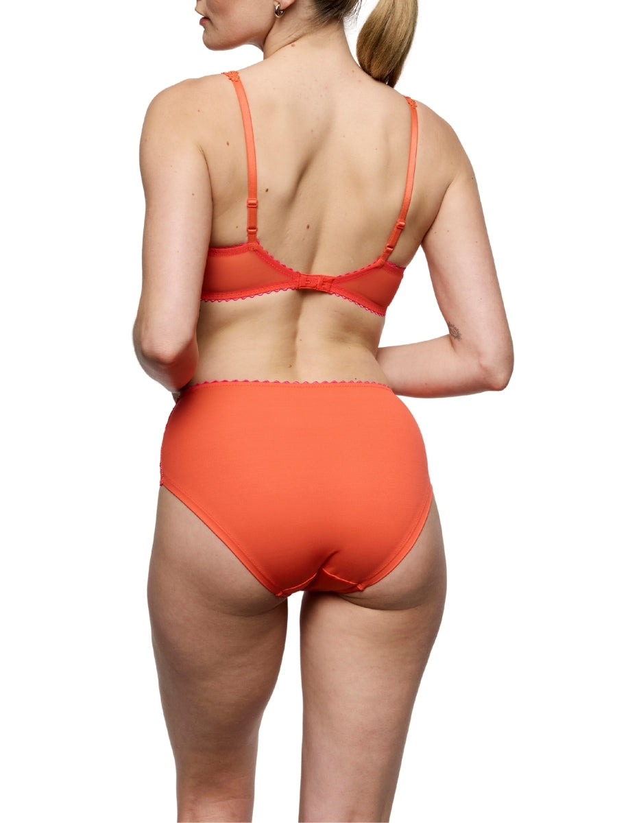 Solene Full Brief