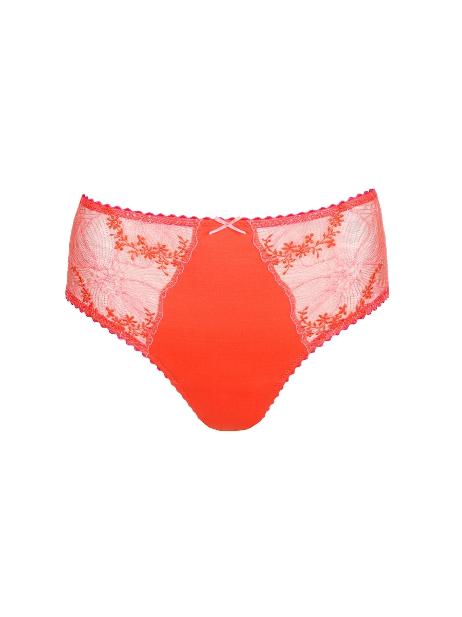 Solene Full Brief