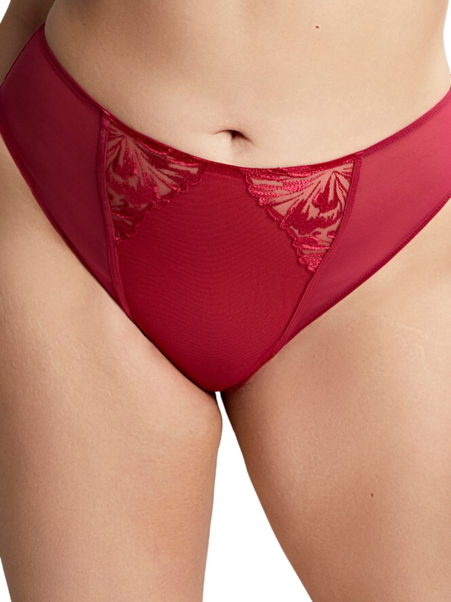 sculptresse jaida high leg brief