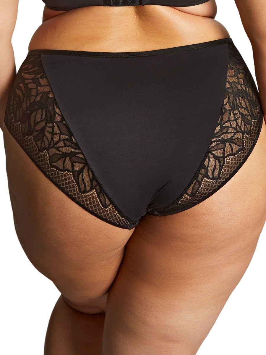 Sophia Deep Brief