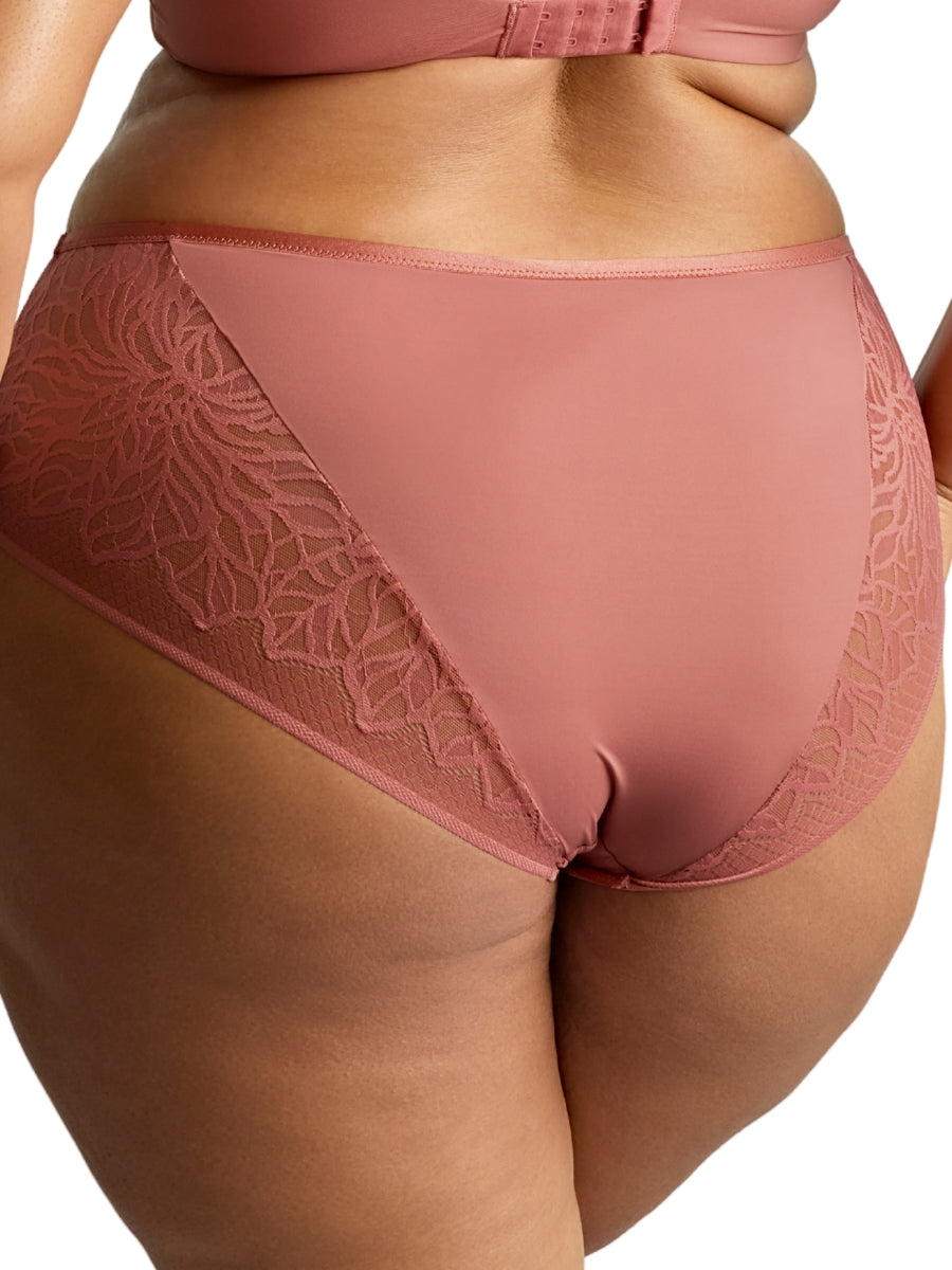 Sophia Deep Brief