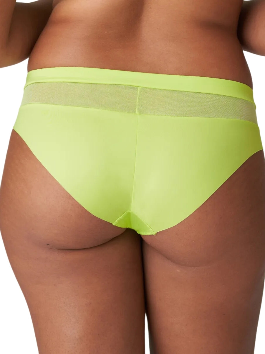Sophora Rio Brief