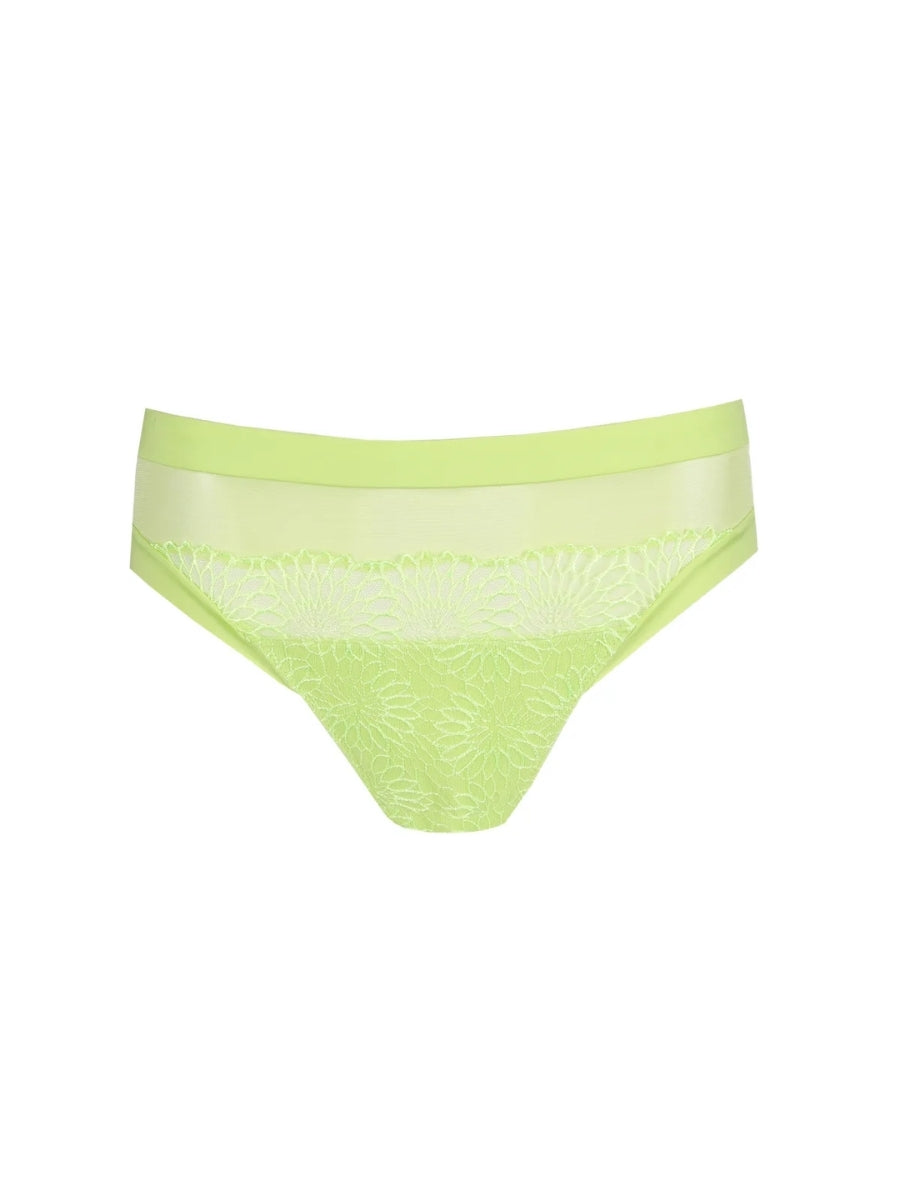 Sophora Rio Brief