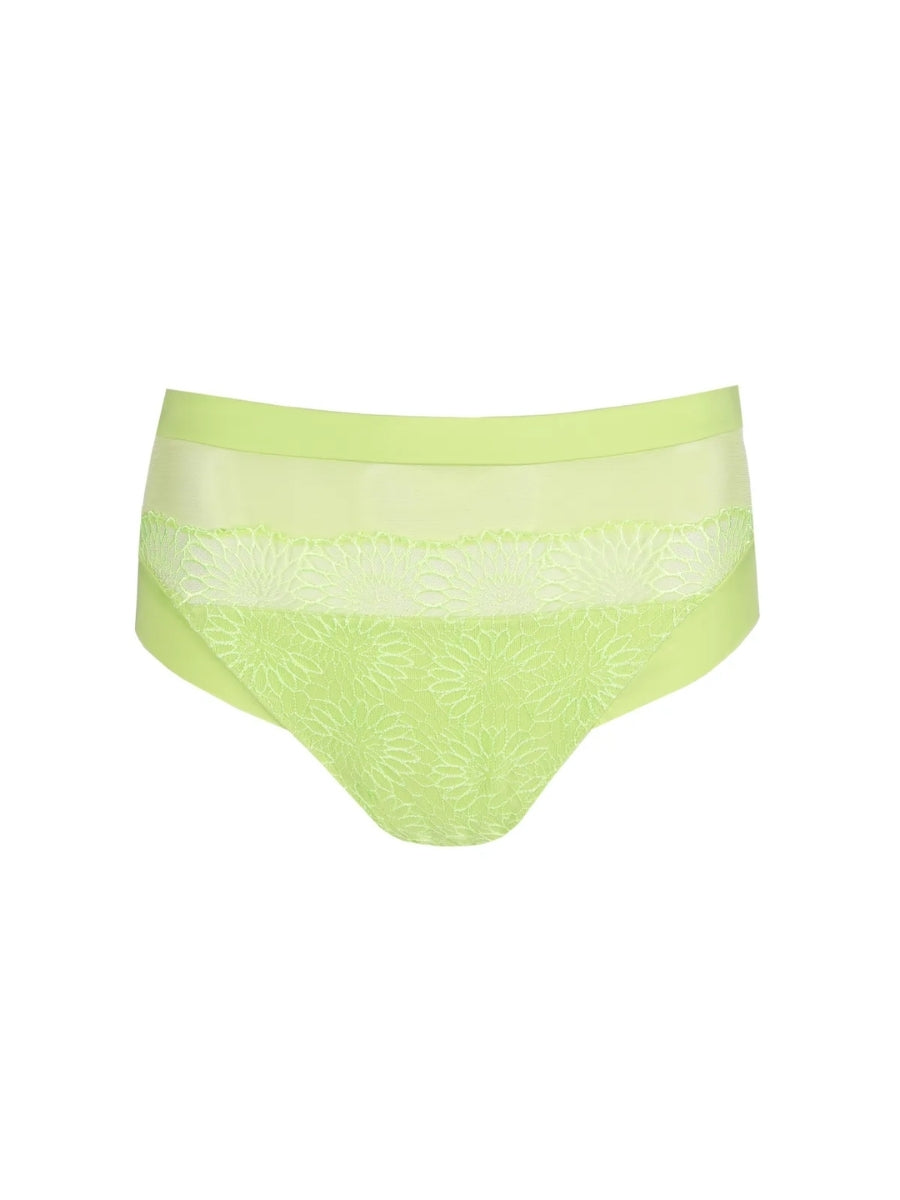 Sophora Full Brief