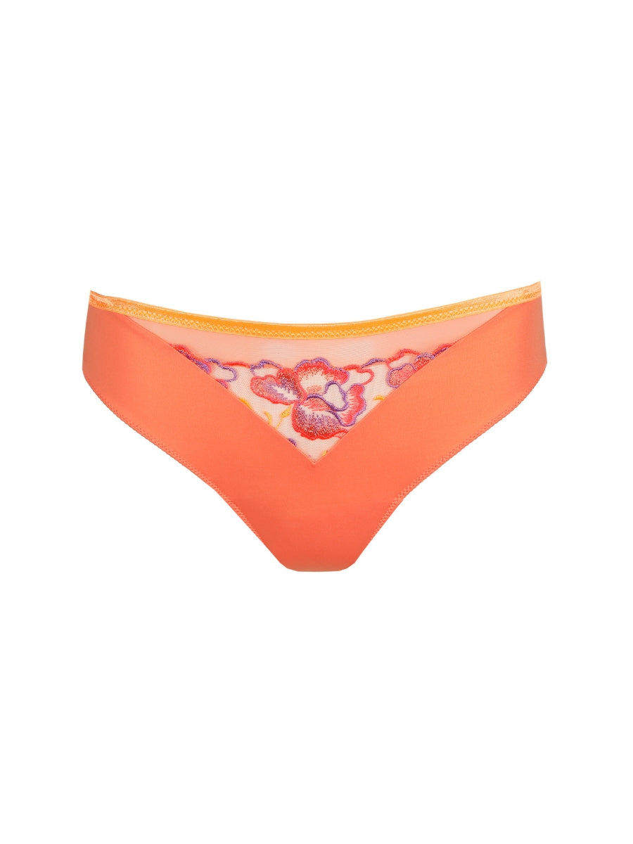 Devdaha Rio Brief