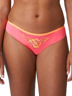 Devdaha Rio Brief