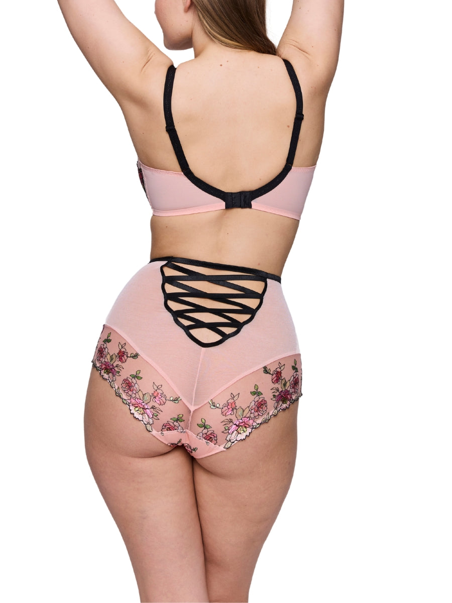 Eraclea Special Brief