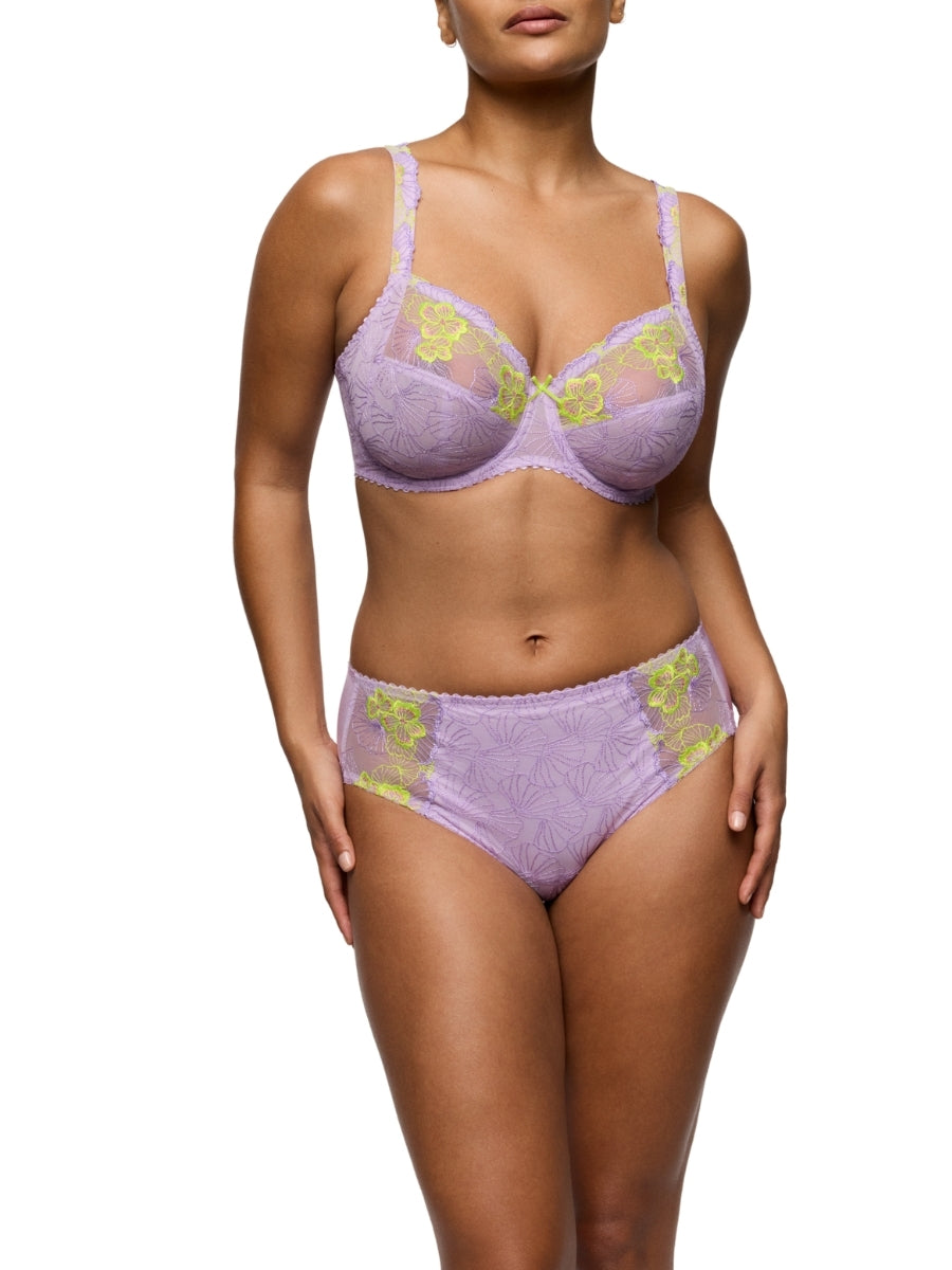 Ixia Full Brief