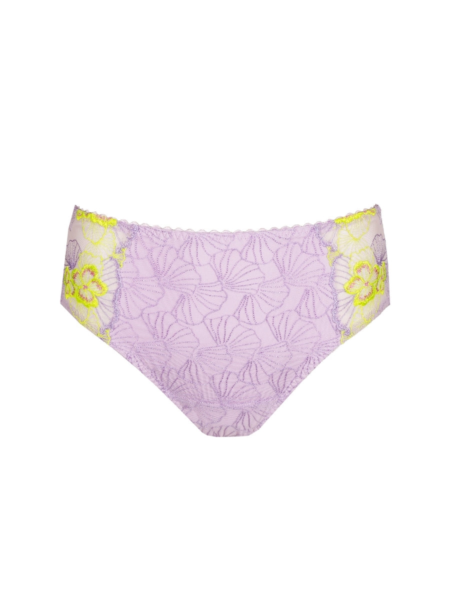 Ixia Full Brief