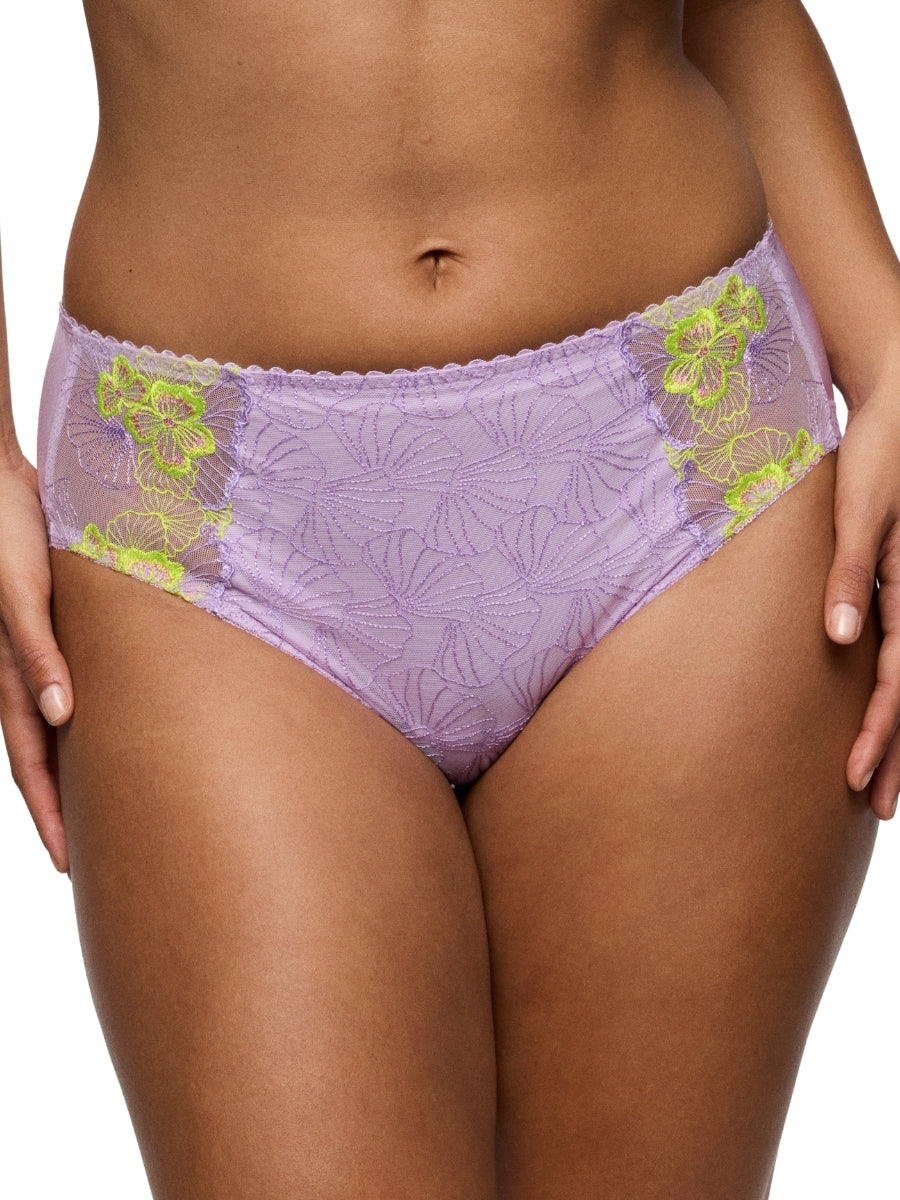 Ixia Full Brief