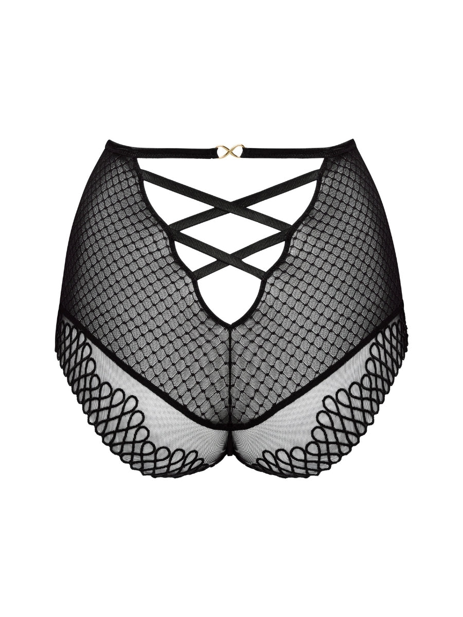 Jokko Special Brief