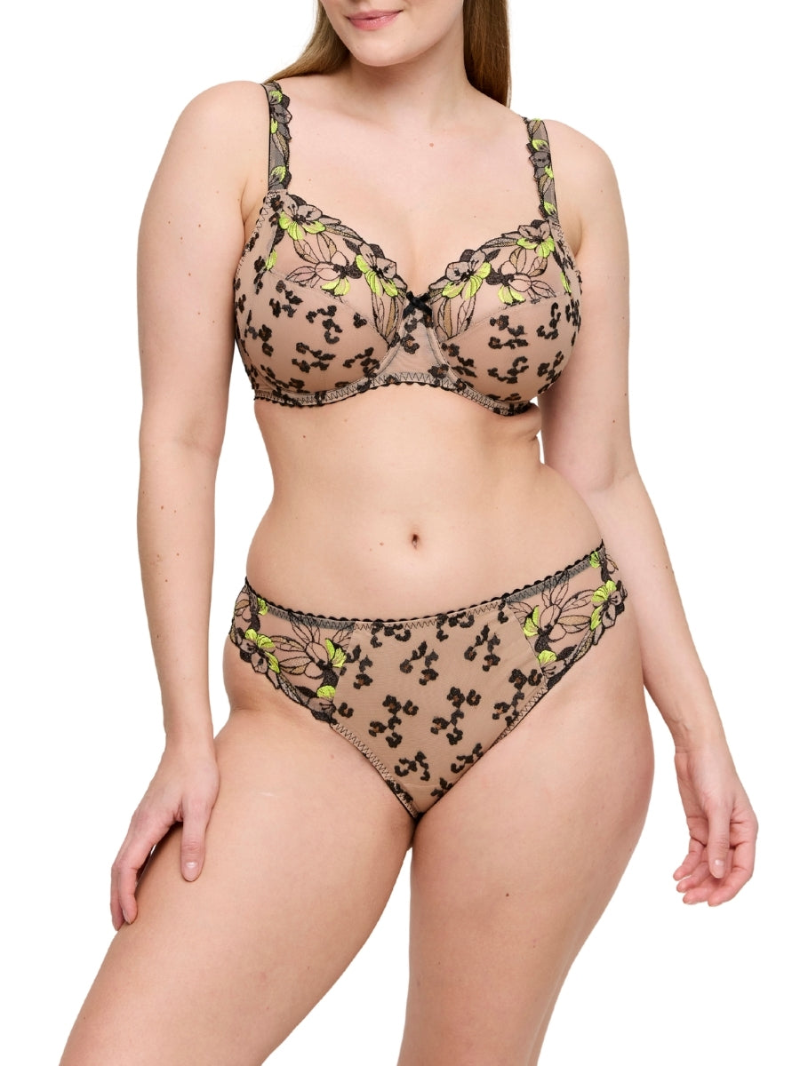 Manali Rio Brief