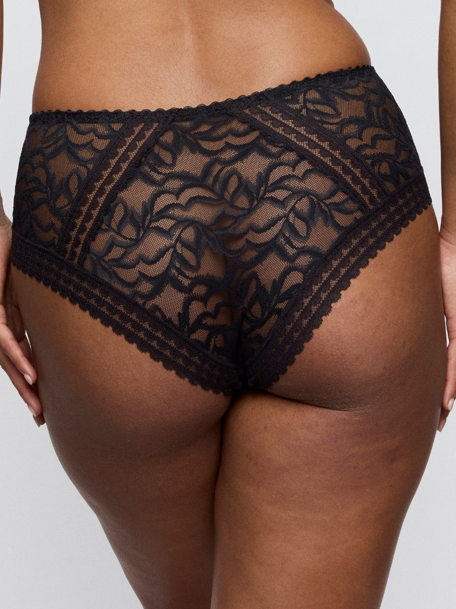 Miyara Special Brief