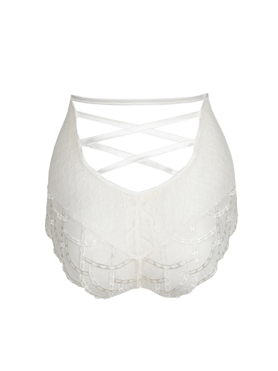 Naica Special Brief