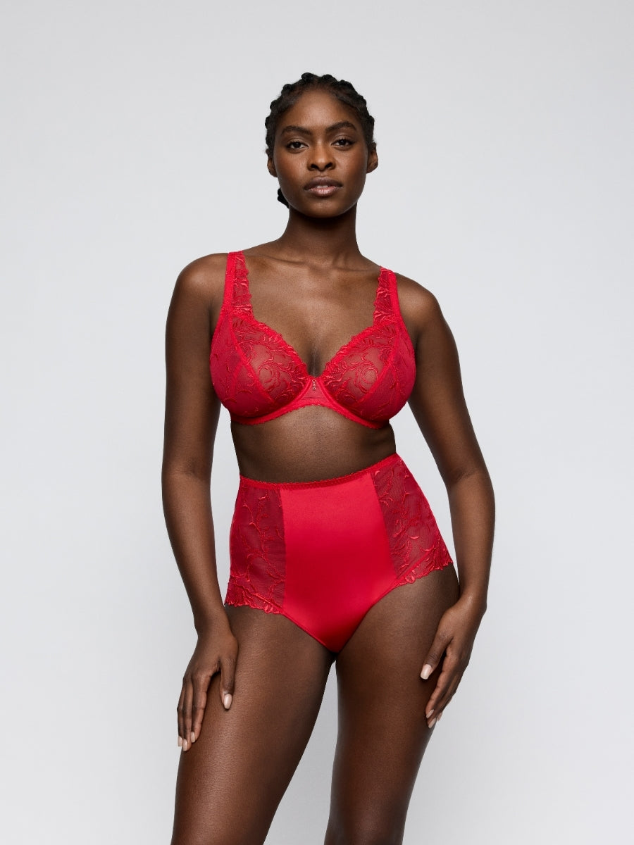 Solisse Special Brief
