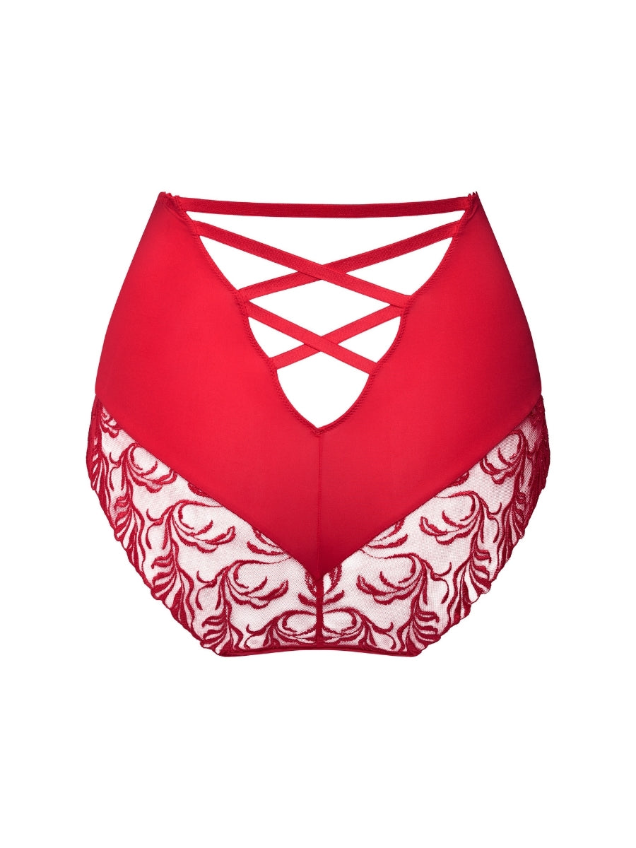 Solisse Special Brief