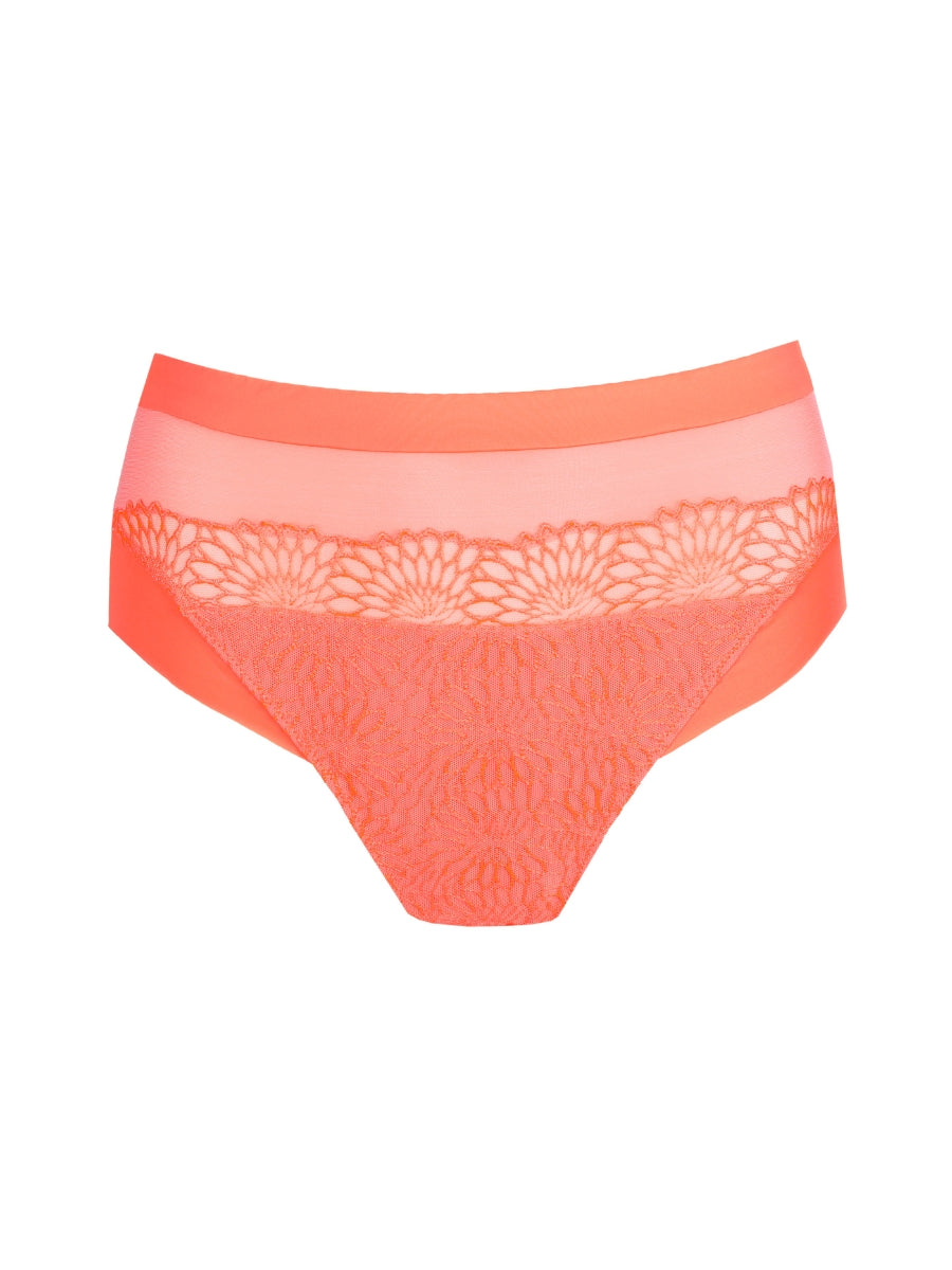 Sophora Full Brief