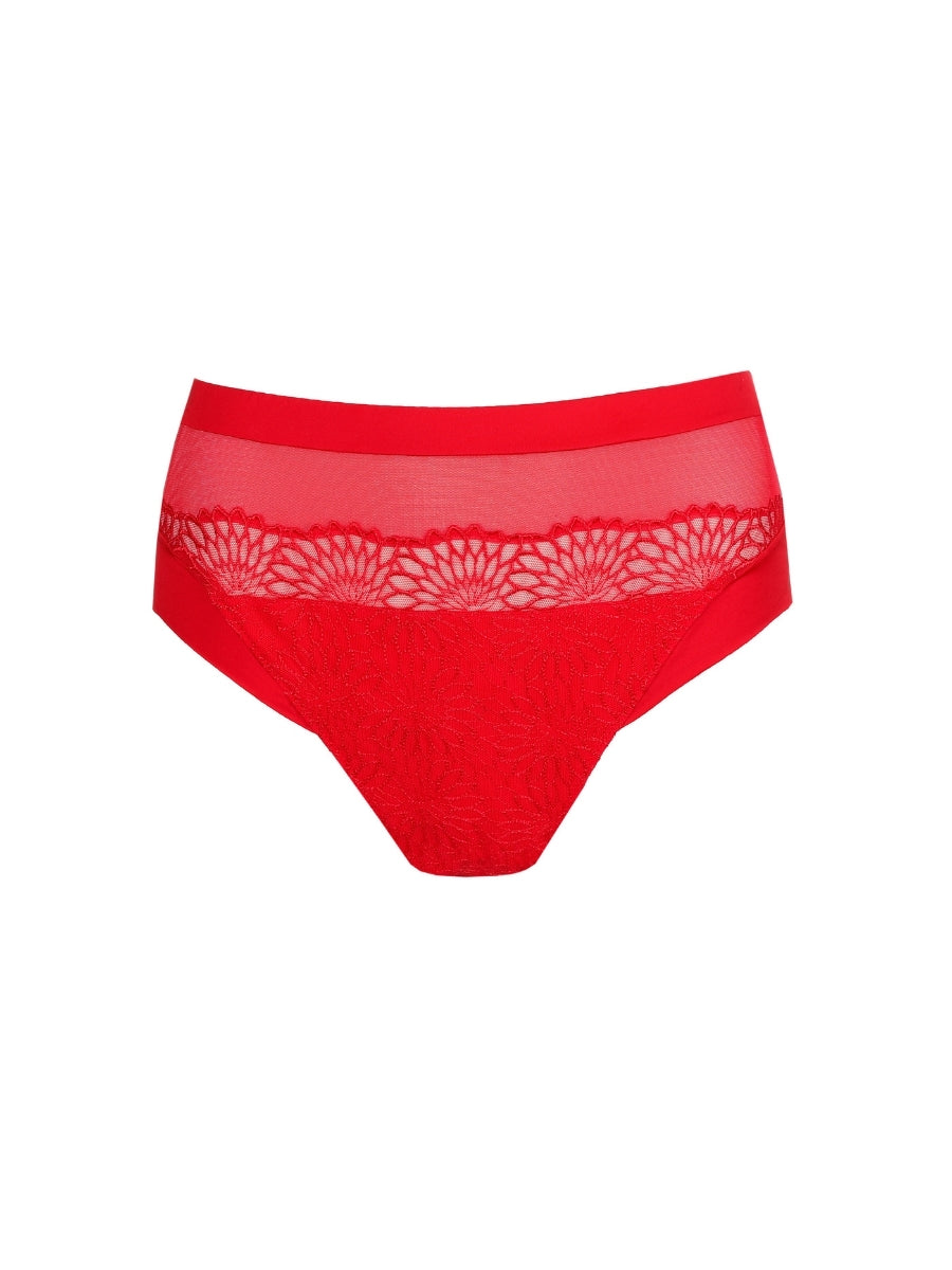 Sophora Full Brief
