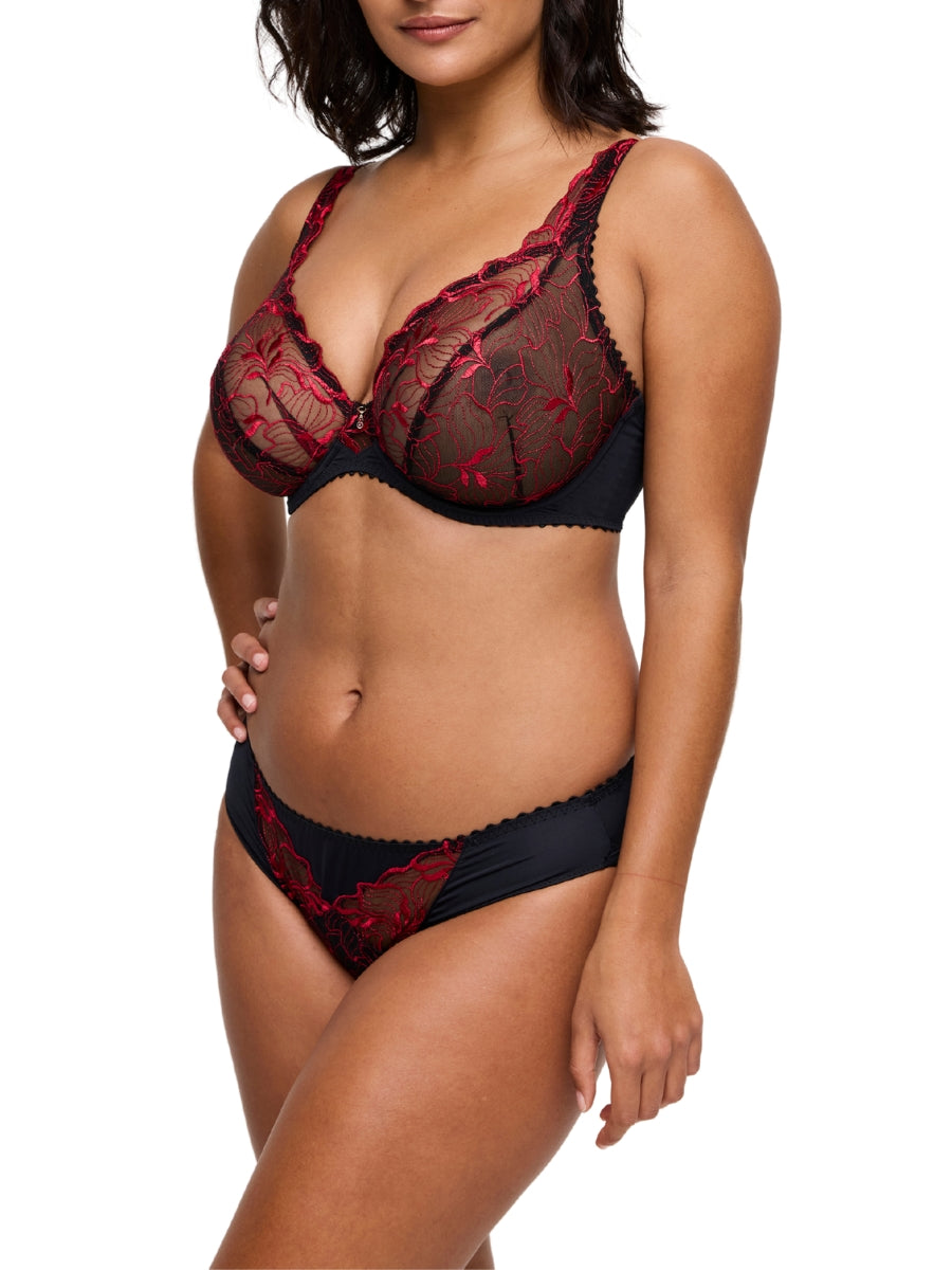 Springdale Rio Brief