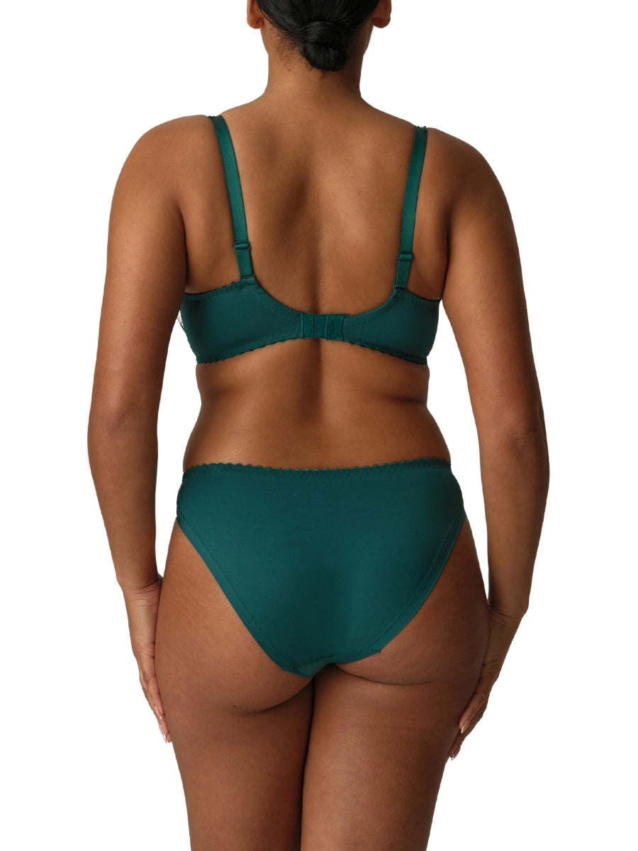 Springdale Rio Brief