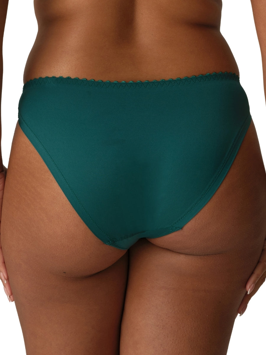 Springdale Rio Brief
