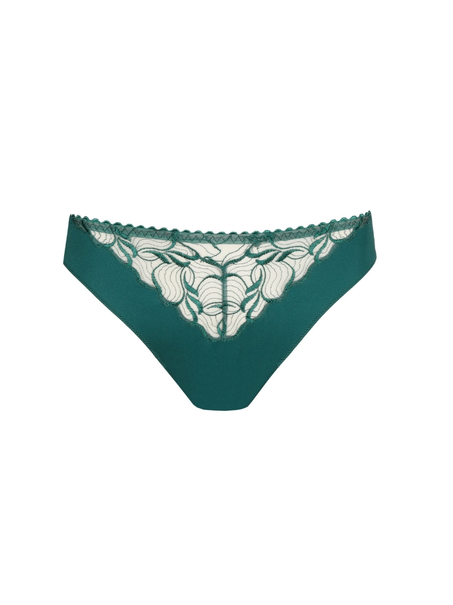 Springdale Rio Brief