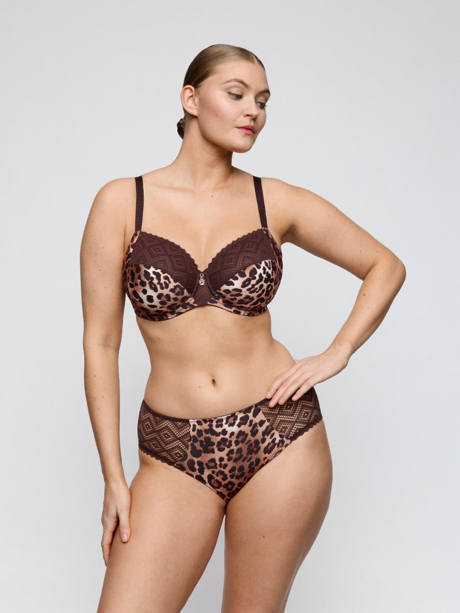Giganni Full Brief