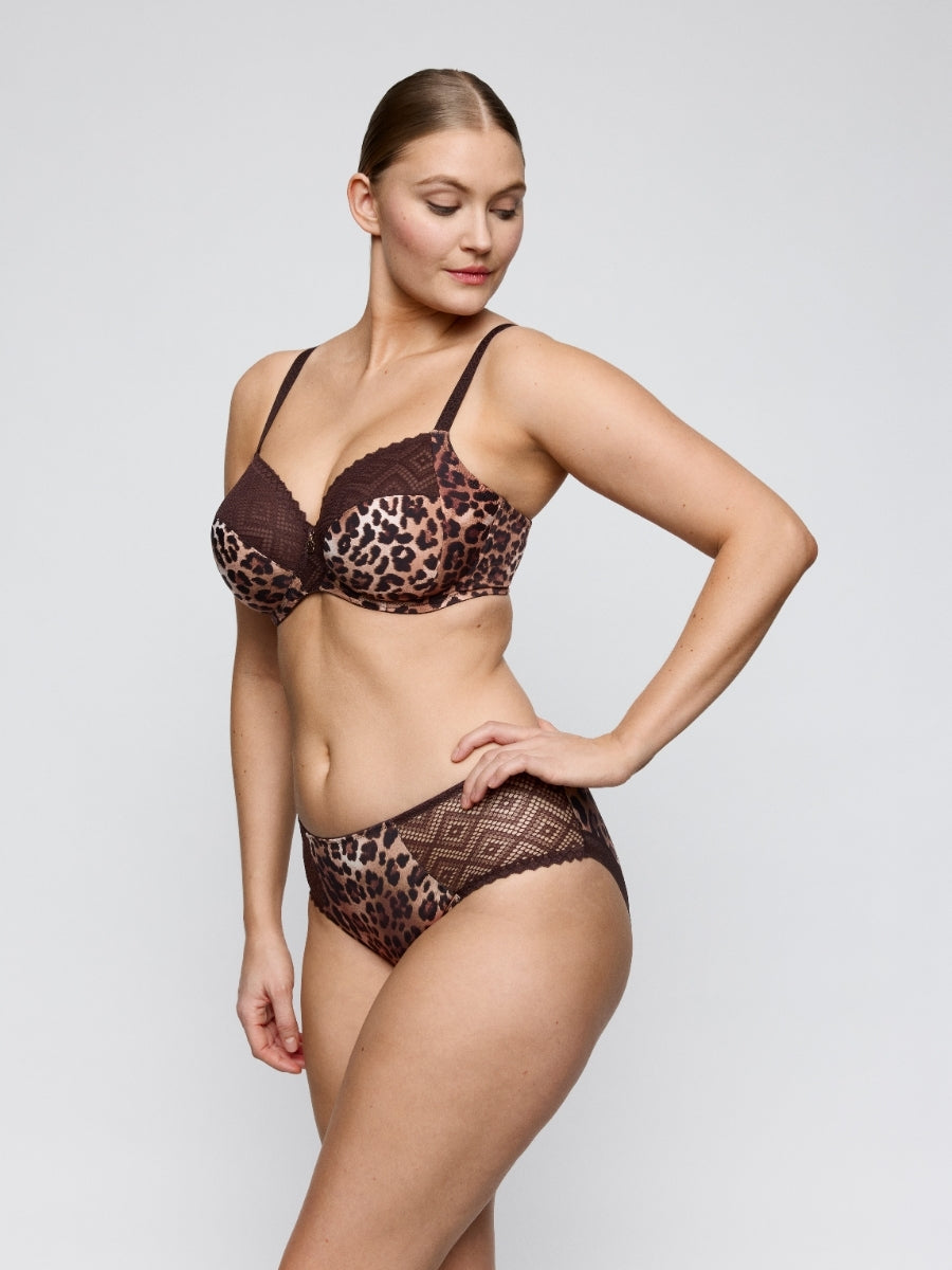 Giganni Full Brief