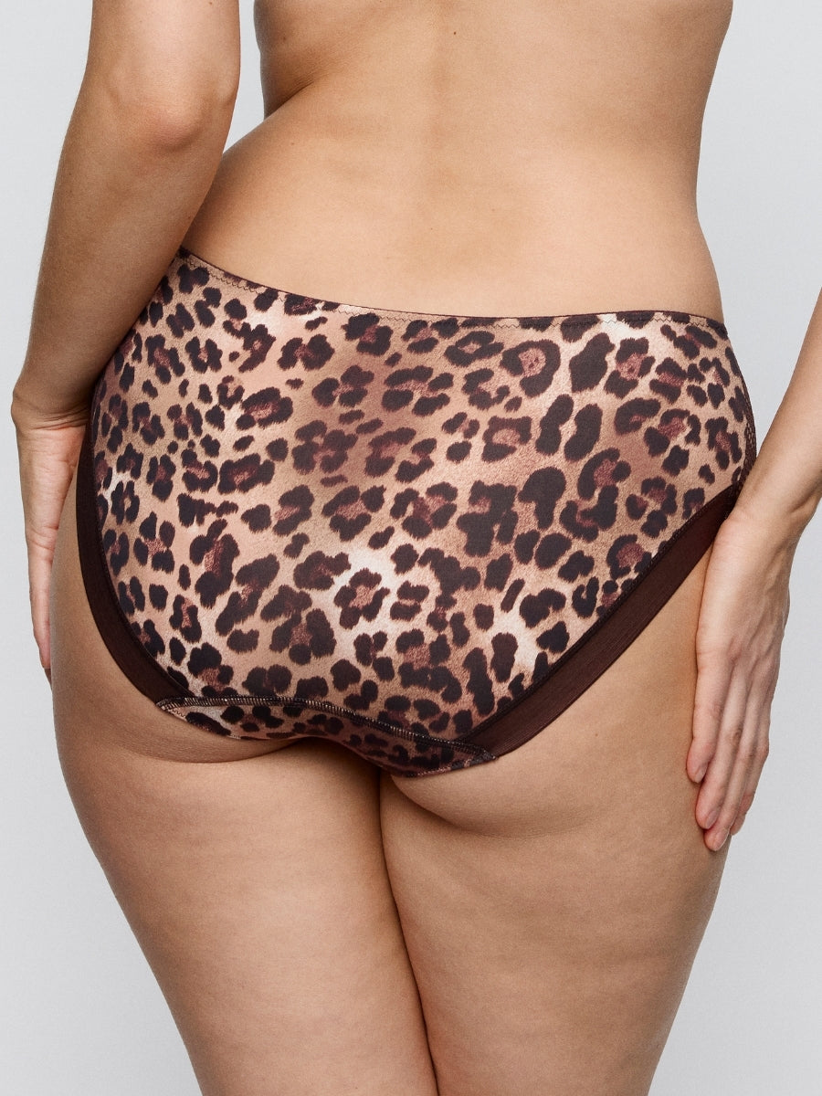 Giganni Full Brief