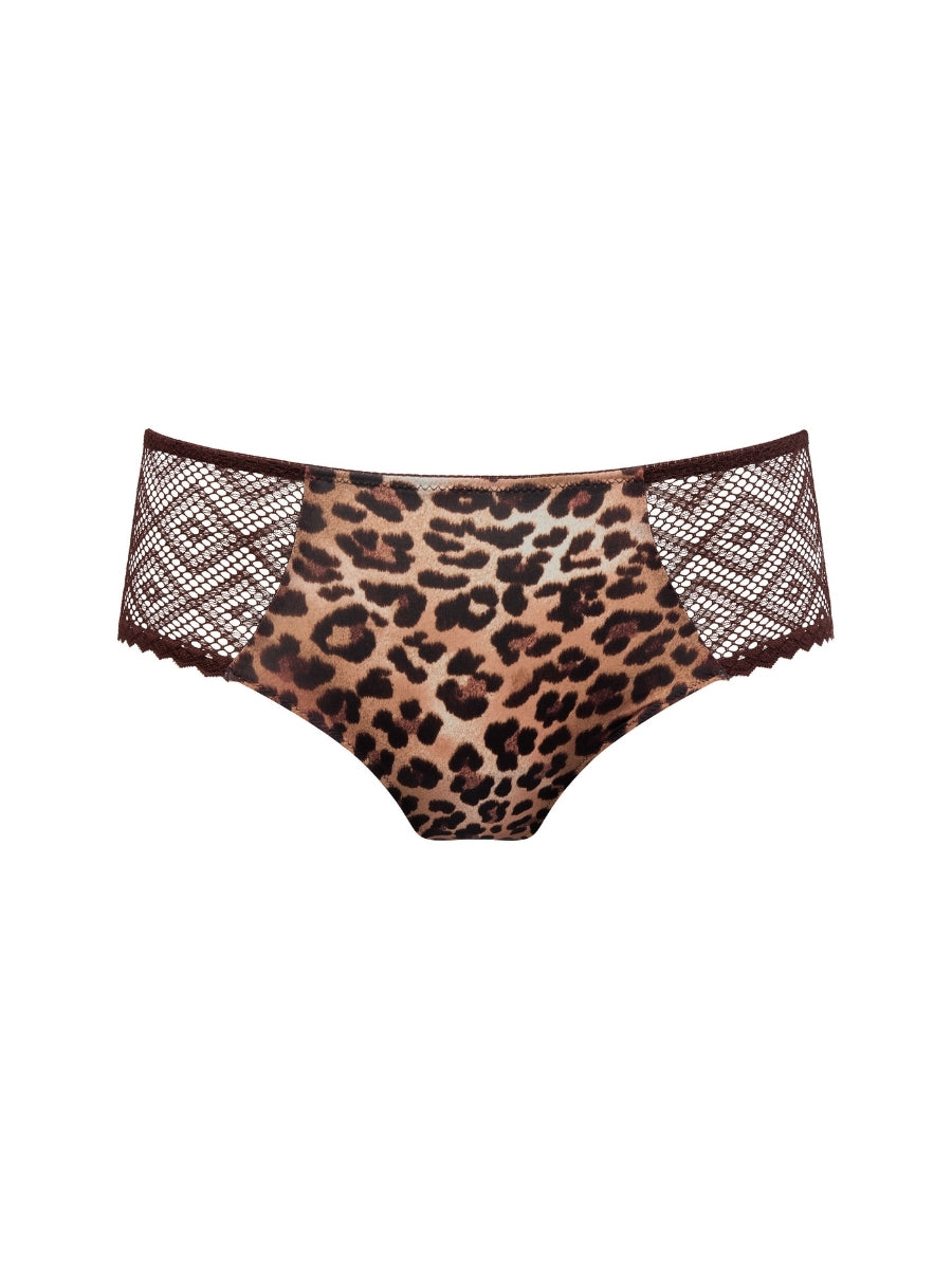 Giganni Full Brief
