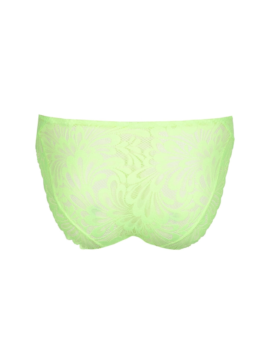 Rupi Rio Brief