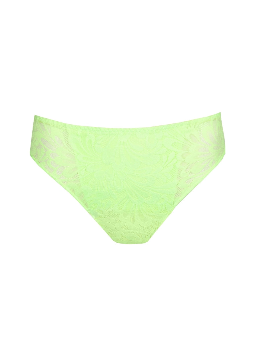 Rupi Rio Brief