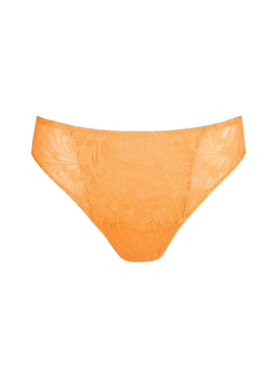 Rupi Rio Brief
