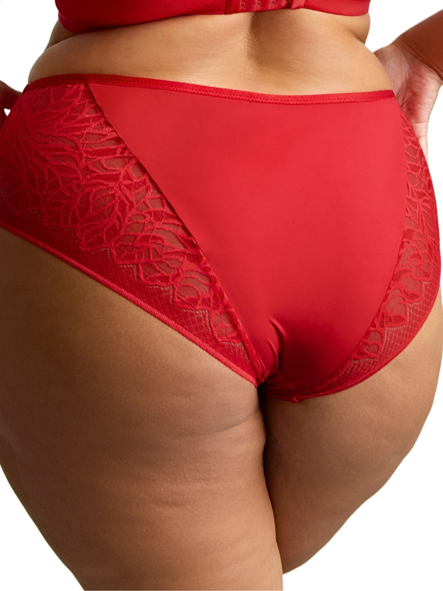 Sophia Deep Brief