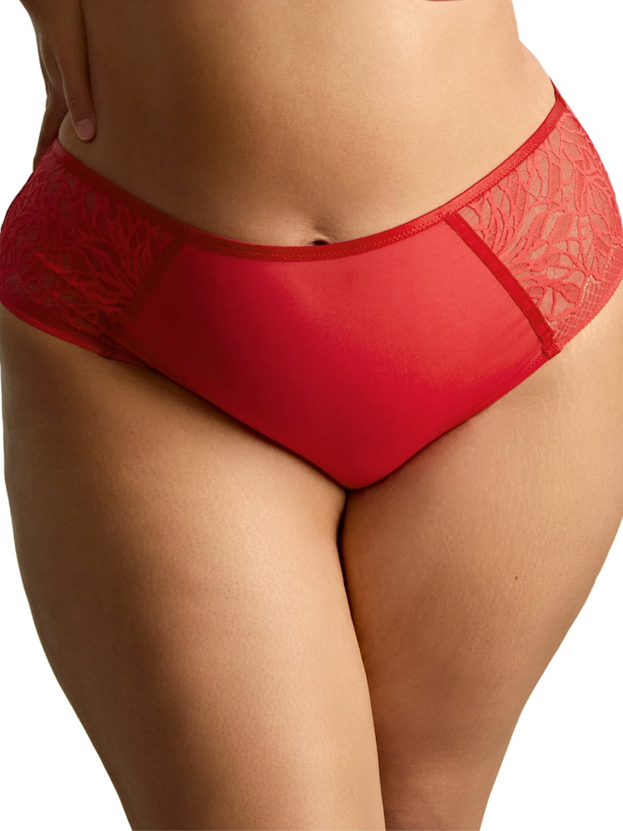 Sophia Deep Brief